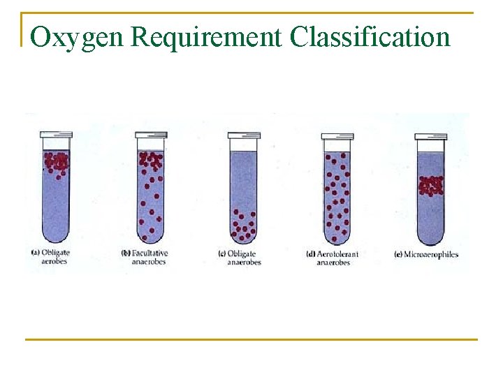 Oxygen Requirement Classification 