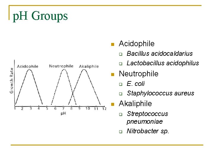 p. H Groups n Acidophile q q n Neutrophile q q n Bacillus acidocaldarius