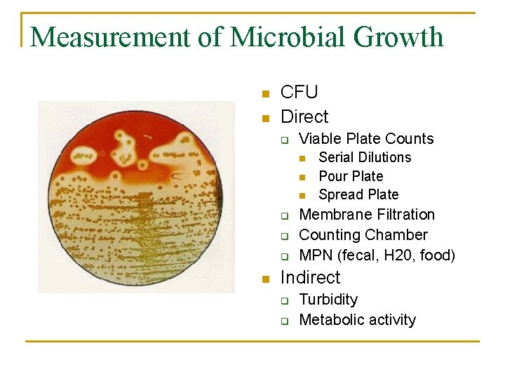 Measurement of Microbial Growth n n CFU Direct q Viable Plate Counts n n