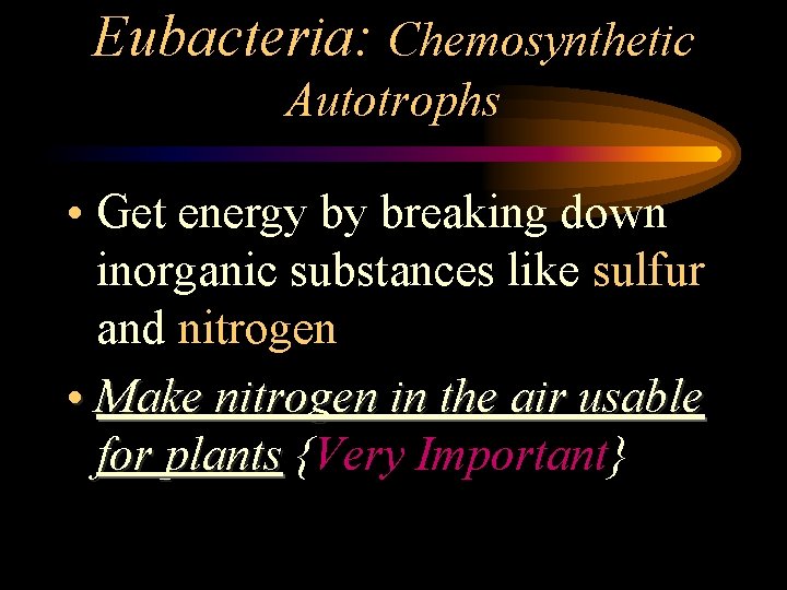 Eubacteria: Chemosynthetic Autotrophs • Get energy by breaking down inorganic substances like sulfur and