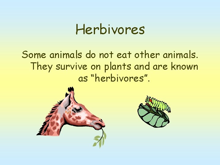 Herbivores Some animals do not eat other animals. They survive on plants and are