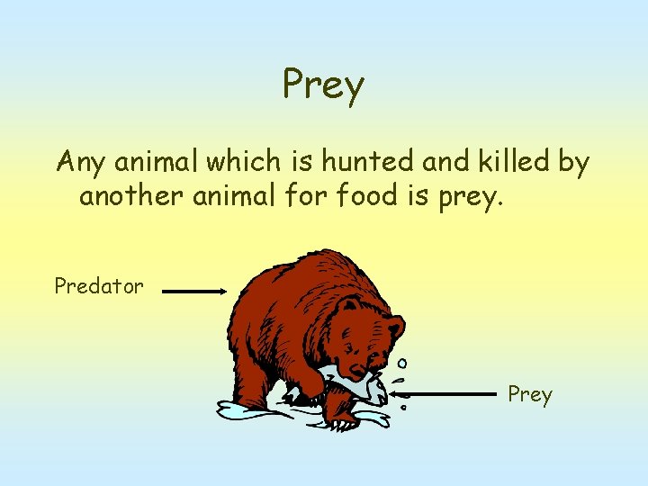 Prey Any animal which is hunted and killed by another animal for food is