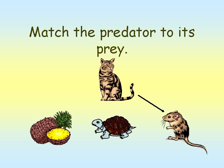 Match the predator to its prey. 