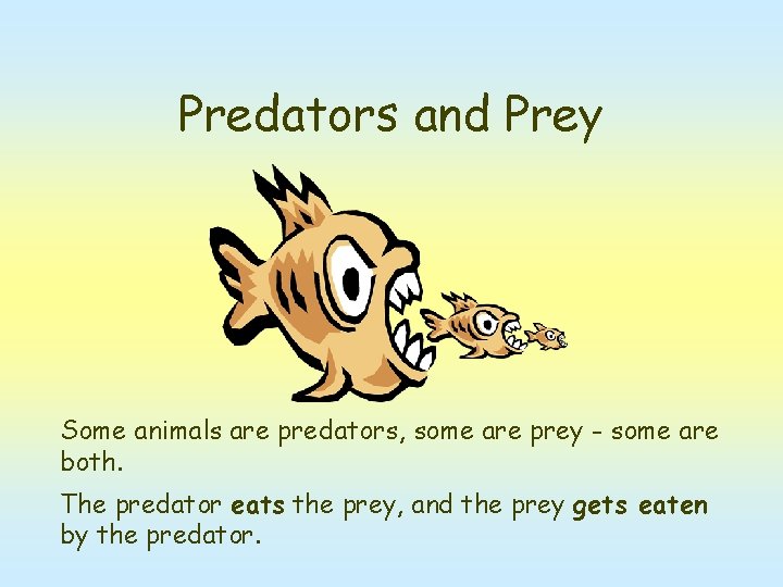 Predators and Prey Some animals are predators, some are prey - some are both.