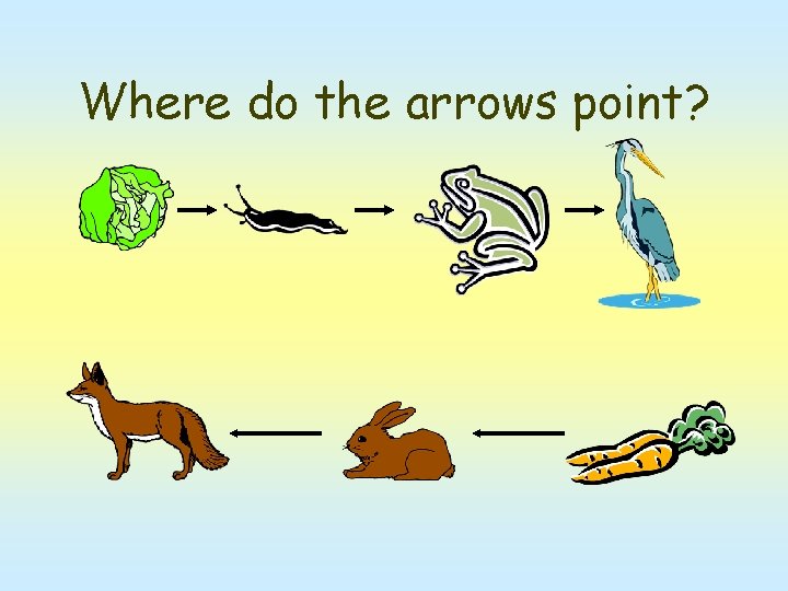 Where do the arrows point? 