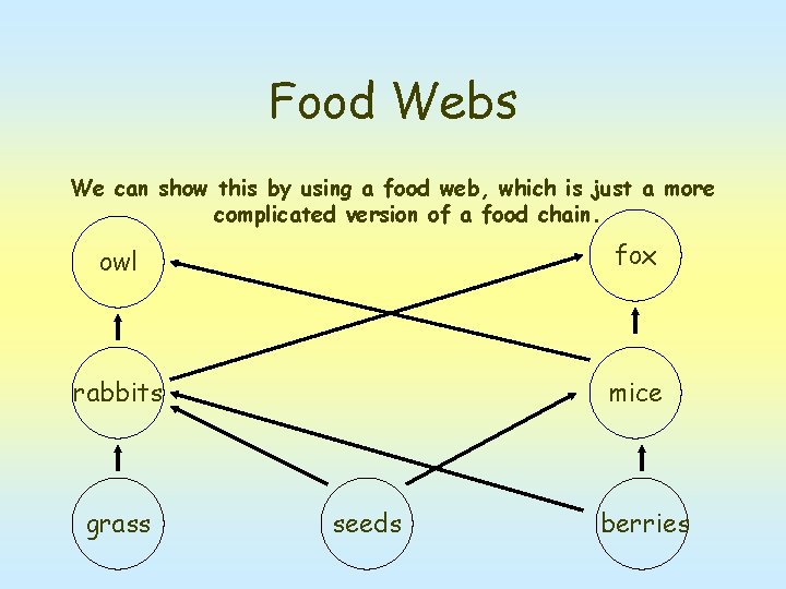 Food Webs We can show this by using a food web, which is just