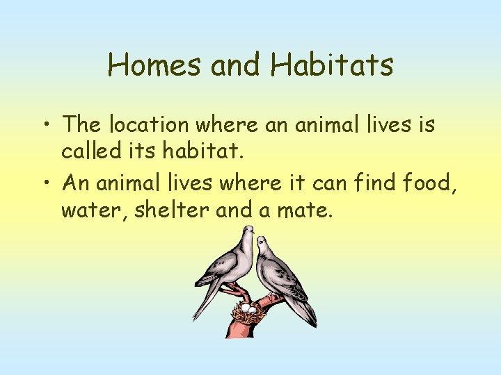 Homes and Habitats • The location where an animal lives is called its habitat.