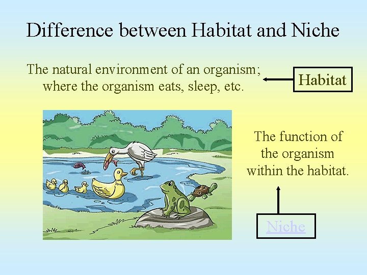 Difference between Habitat and Niche The natural environment of an organism; where the organism