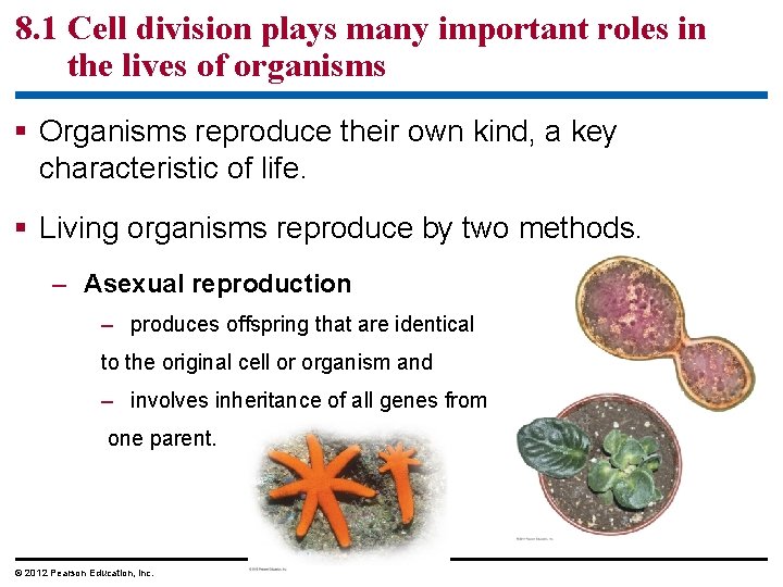 8. 1 Cell division plays many important roles in the lives of organisms §