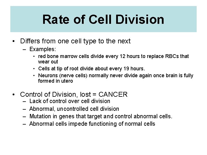 Rate of Cell Division • Differs from one cell type to the next –