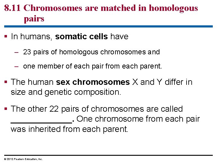 8. 11 Chromosomes are matched in homologous pairs § In humans, somatic cells have