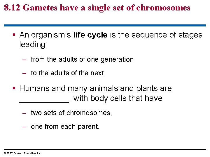 8. 12 Gametes have a single set of chromosomes § An organism’s life cycle