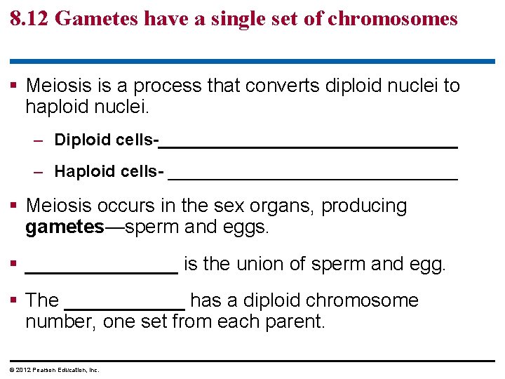 8. 12 Gametes have a single set of chromosomes § Meiosis is a process