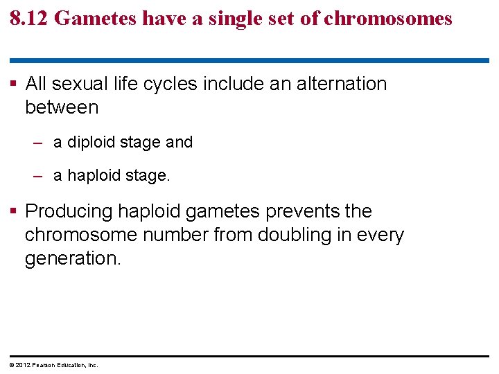 8. 12 Gametes have a single set of chromosomes § All sexual life cycles