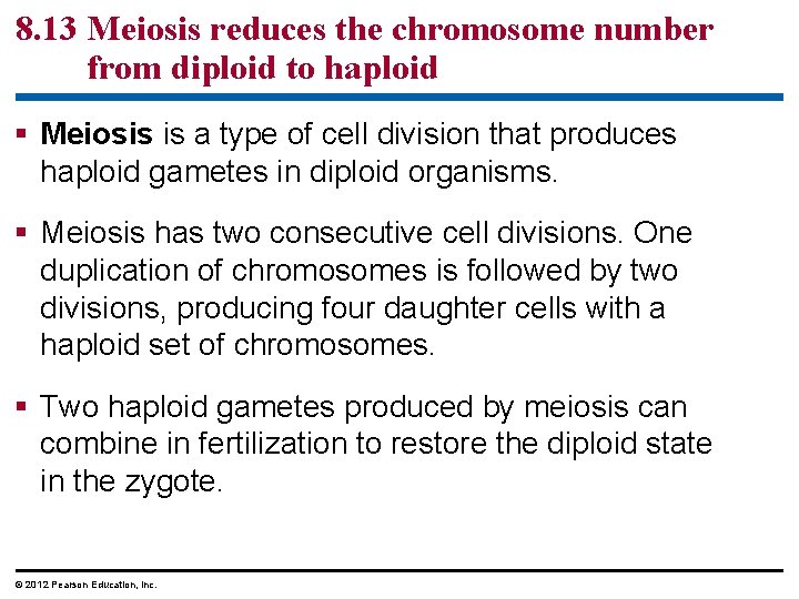 8. 13 Meiosis reduces the chromosome number from diploid to haploid § Meiosis is