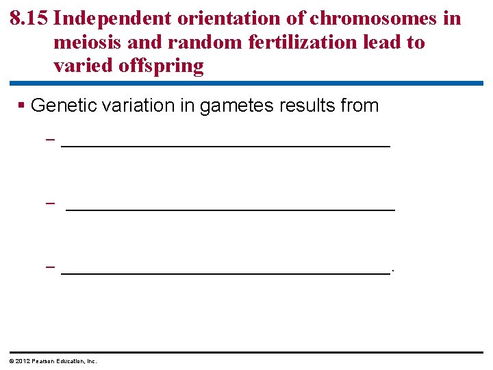 8. 15 Independent orientation of chromosomes in meiosis and random fertilization lead to varied