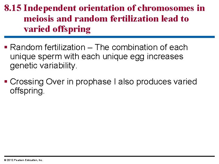 8. 15 Independent orientation of chromosomes in meiosis and random fertilization lead to varied