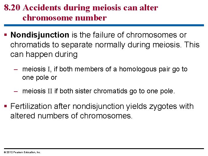 8. 20 Accidents during meiosis can alter chromosome number § Nondisjunction is the failure