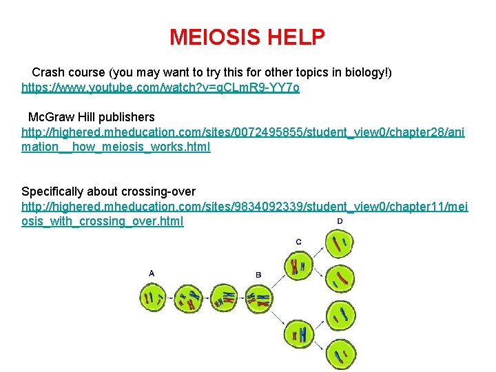 MEIOSIS HELP Crash course (you may want to try this for other topics in