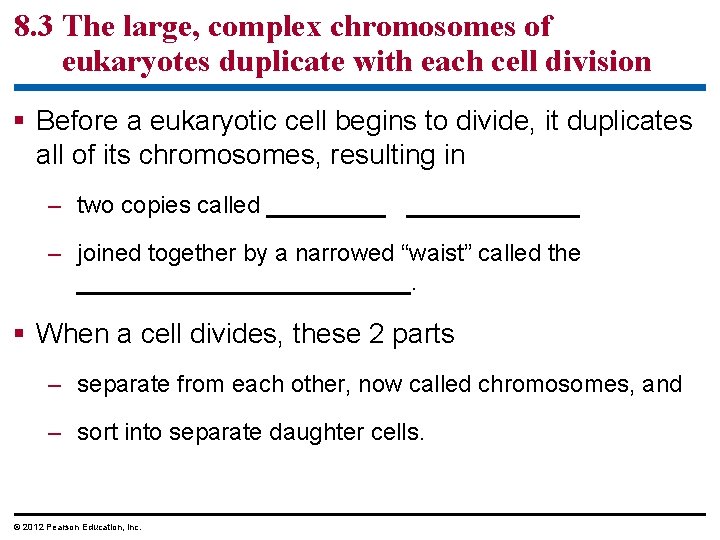 8. 3 The large, complex chromosomes of eukaryotes duplicate with each cell division §