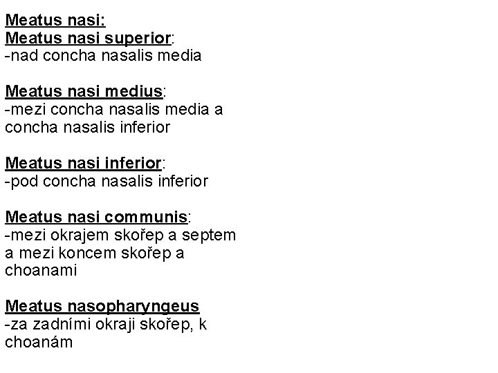 Meatus nasi: Meatus nasi superior: -nad concha nasalis media Meatus nasi medius: -mezi concha