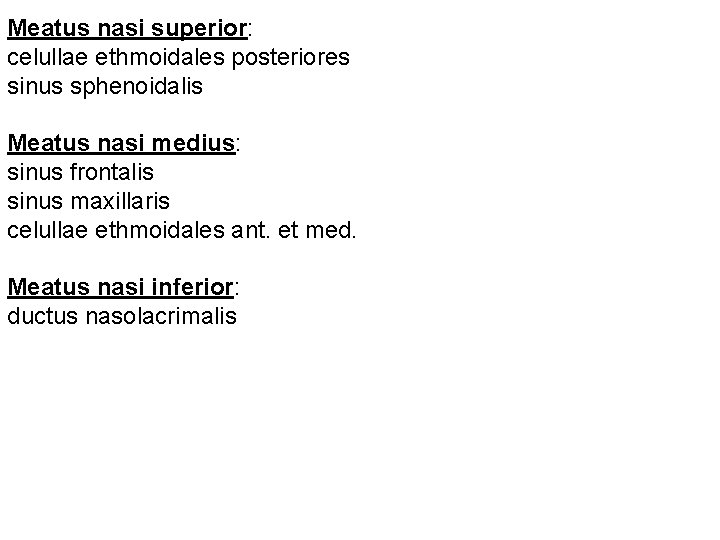 Meatus nasi superior: celullae ethmoidales posteriores sinus sphenoidalis Meatus nasi medius: sinus frontalis sinus