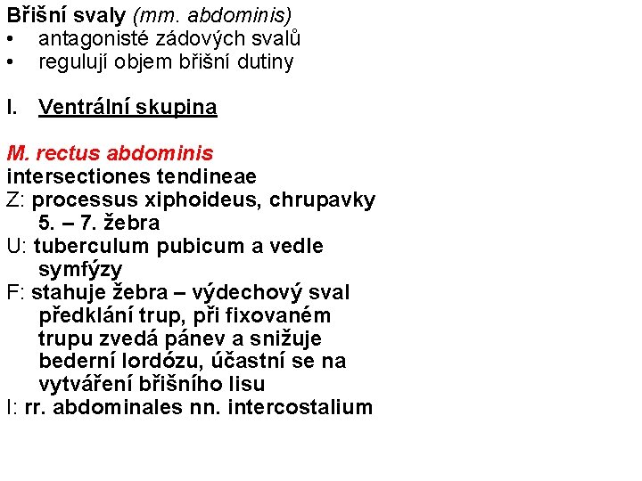 Břišní svaly (mm. abdominis) • antagonisté zádových svalů • regulují objem břišní dutiny I.