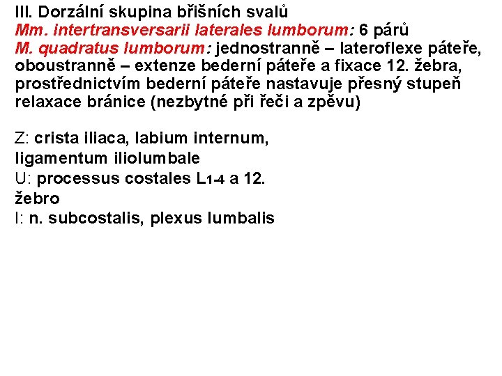 III. Dorzální skupina břišních svalů Mm. intertransversarii laterales lumborum: 6 párů M. quadratus lumborum: