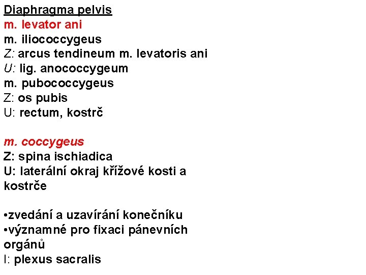 Diaphragma pelvis m. levator ani m. iliococcygeus Z: arcus tendineum m. levatoris ani U: