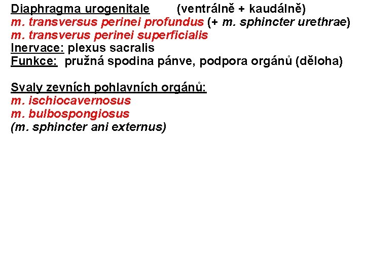 Diaphragma urogenitale (ventrálně + kaudálně) m. transversus perinei profundus (+ m. sphincter urethrae) m.