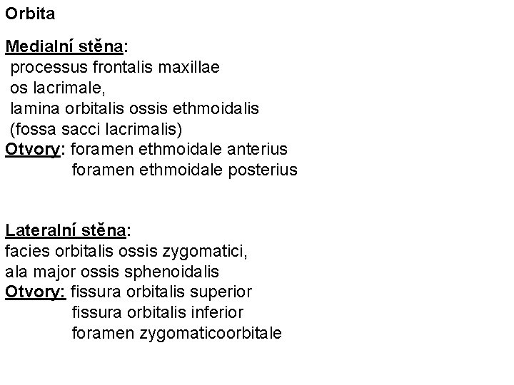 Orbita Medialní stěna: processus frontalis maxillae os lacrimale, lamina orbitalis ossis ethmoidalis (fossa sacci