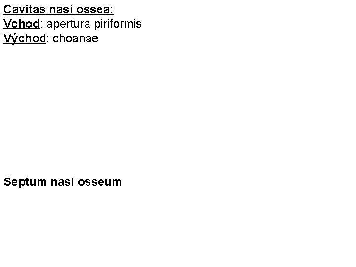 Cavitas nasi ossea: Vchod: apertura piriformis Východ: choanae Septum nasi osseum 