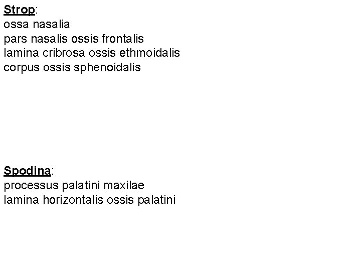 Strop: ossa nasalia pars nasalis ossis frontalis lamina cribrosa ossis ethmoidalis corpus ossis sphenoidalis