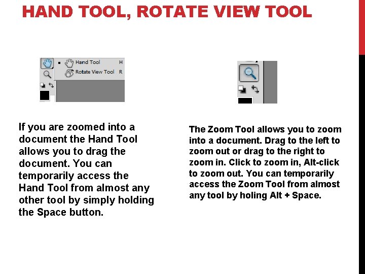 HAND TOOL, ROTATE VIEW TOOL If you are zoomed into a document the Hand