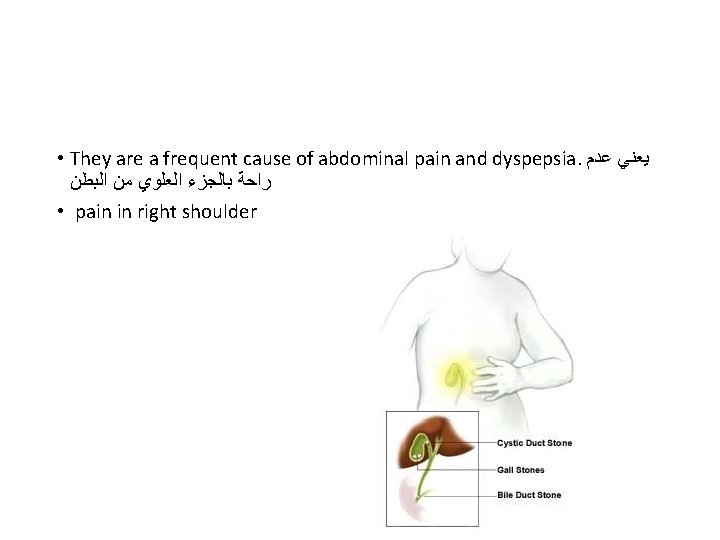  • They are a frequent cause of abdominal pain and dyspepsia. ﻳﻌﻨﻲ ﻋﺪﻡ