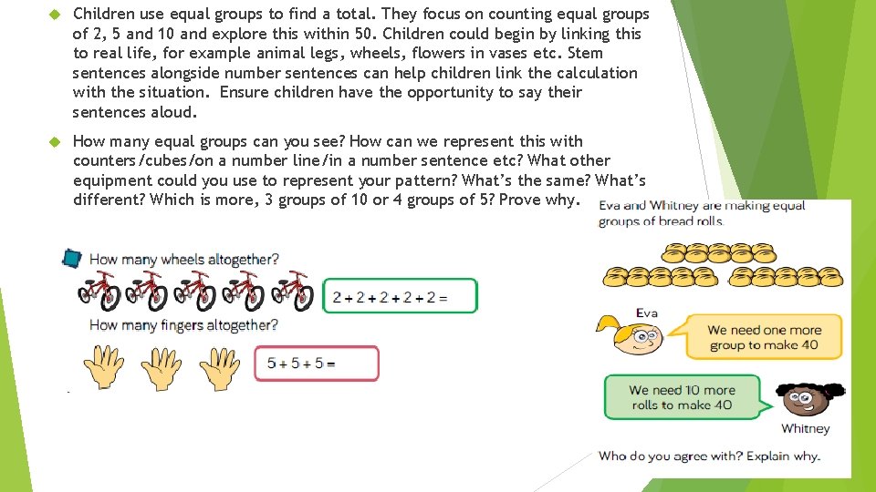  Children use equal groups to find a total. They focus on counting equal