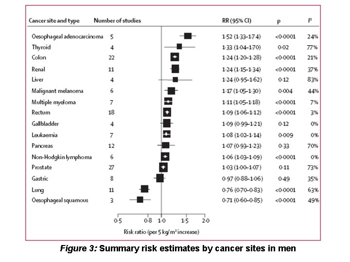 Figure 3: Summary risk estimates by cancer sites in men 