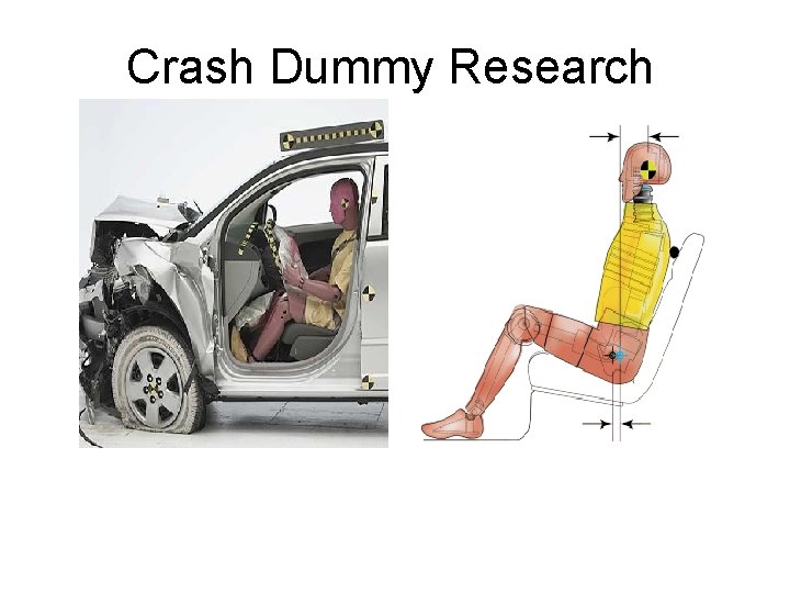 Crash Dummy Research 