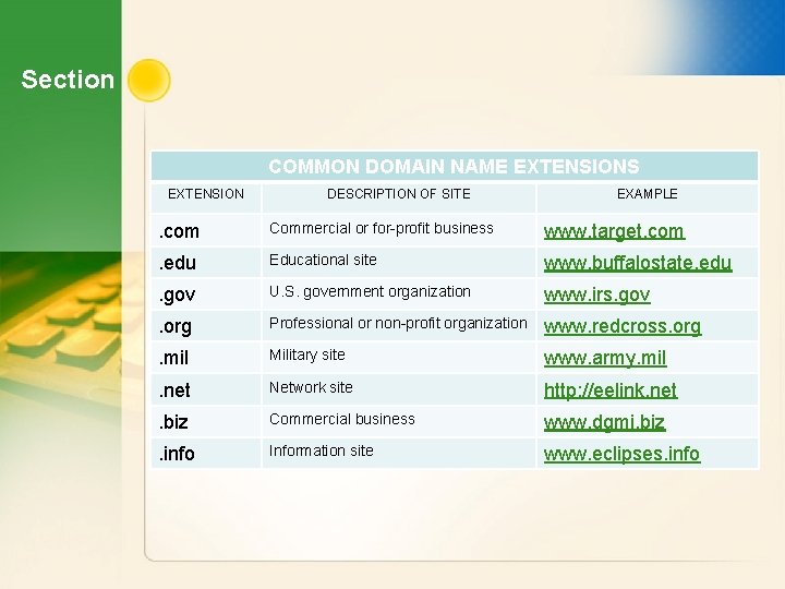 Section COMMON DOMAIN NAME EXTENSIONS EXTENSION DESCRIPTION OF SITE EXAMPLE . com Commercial or