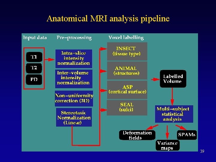 Anatomical MRI analysis pipeline ASP 39 