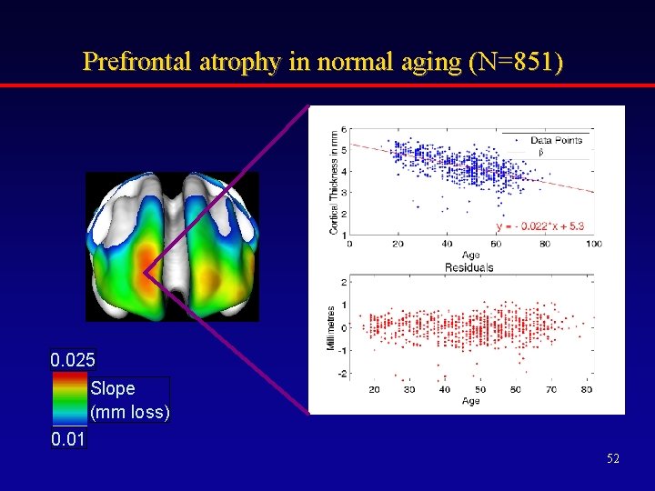 Prefrontal atrophy in normal aging (N=851) 0. 025 Slope (mm loss) 0. 01 52