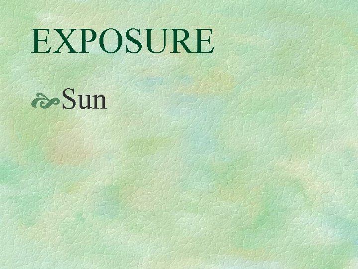 EXPOSURE Sun 