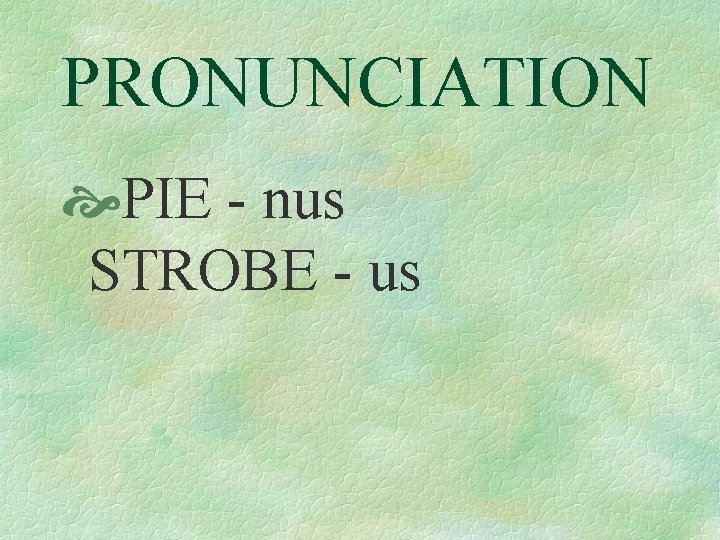 PRONUNCIATION PIE - nus STROBE - us 