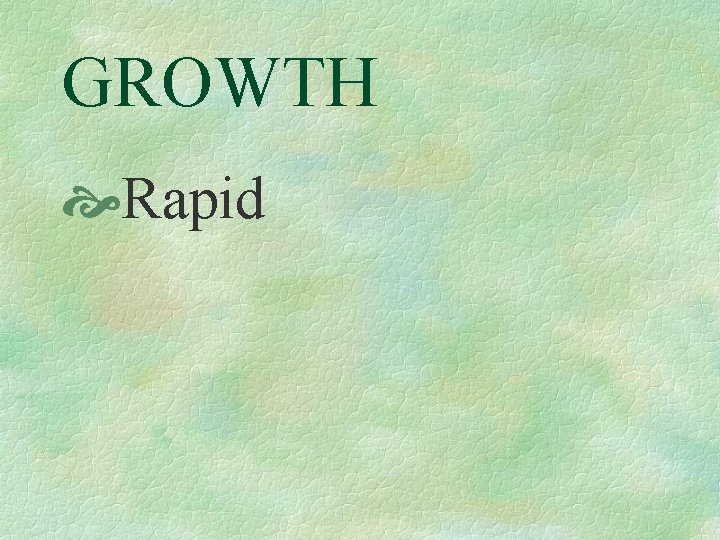 GROWTH Rapid 