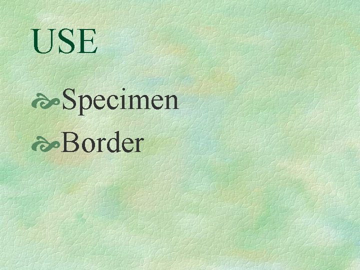 USE Specimen Border 