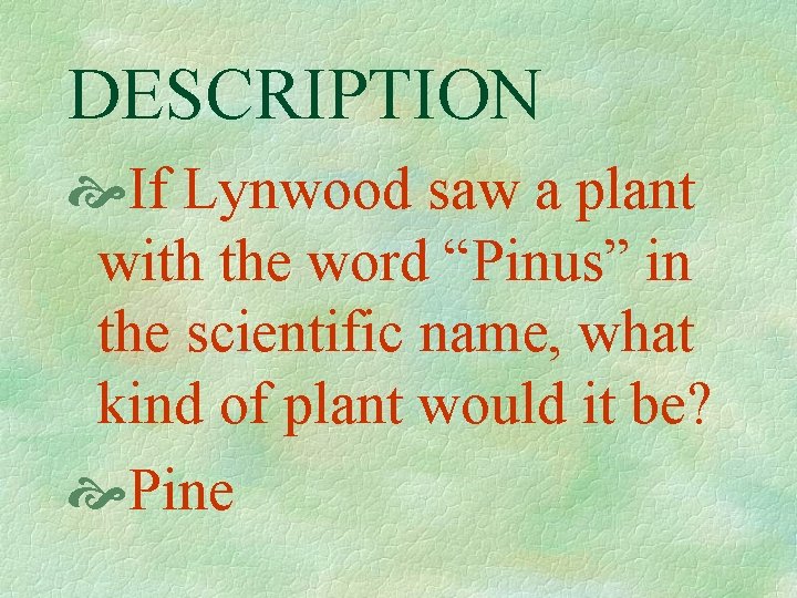 DESCRIPTION If Lynwood saw a plant with the word “Pinus” in the scientific name,