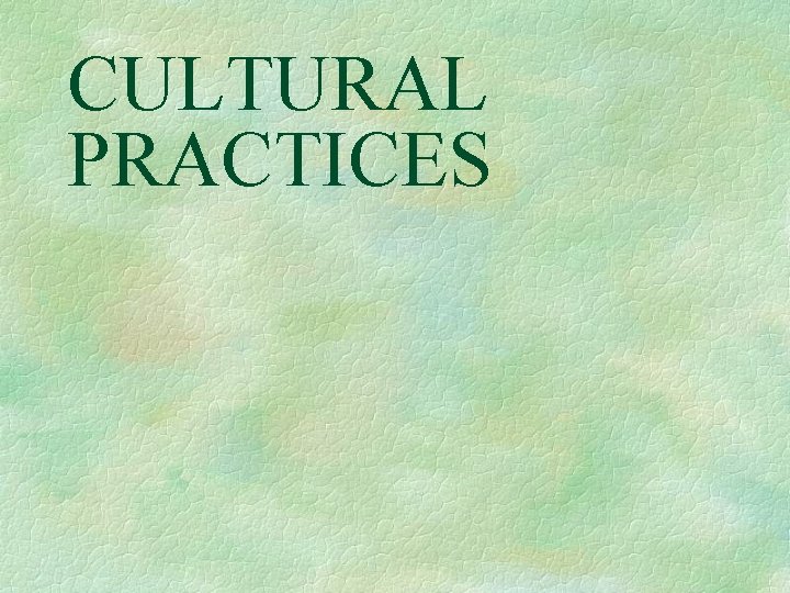 CULTURAL PRACTICES 