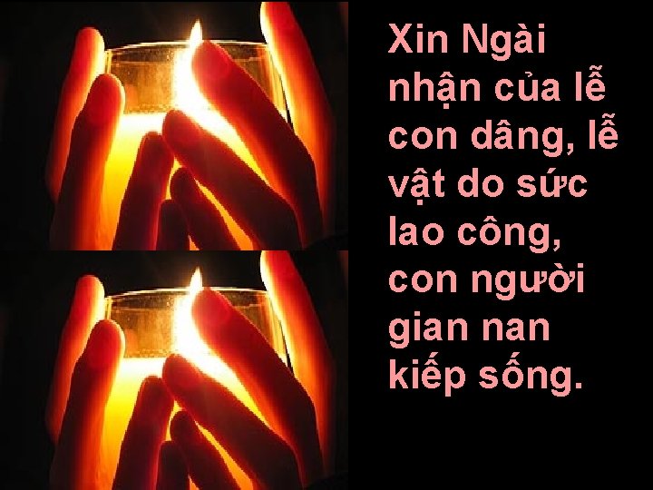 Xin Ngài nhận của lễ con dâng, lễ vật do sức lao công, con