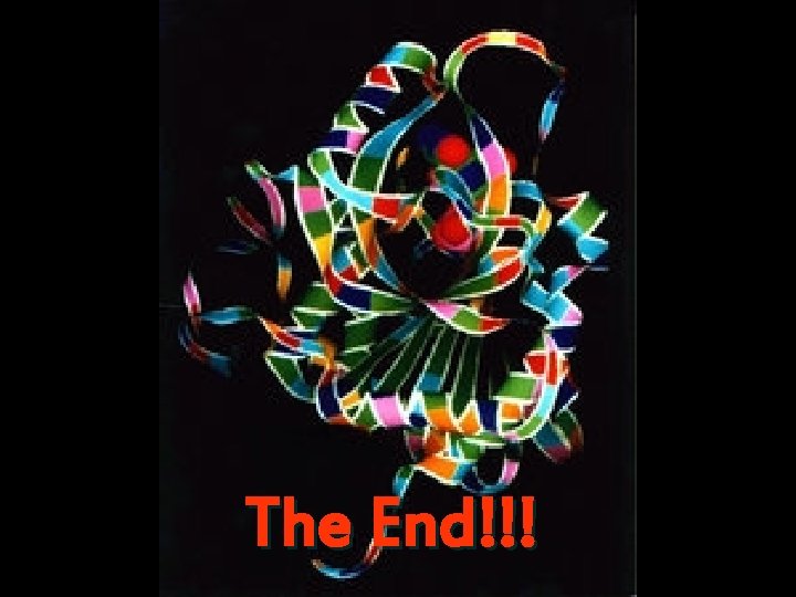 The End!!! 
