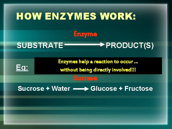 HOW ENZYMES WORK: Enzyme SUBSTRATE Eg: PRODUCT(S) Enzymes help a reaction to occur …